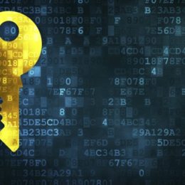 ¿Qué sabemos sobre las comunicaciones encriptadas que utiliza Estado Islámico?